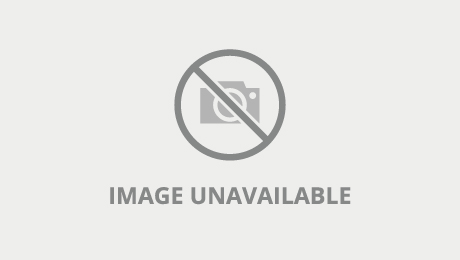 Swinger Videos